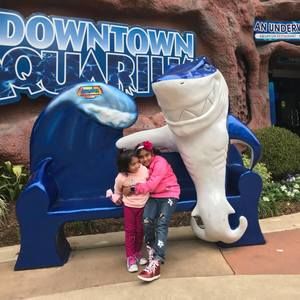 Meet your Posher, Sania